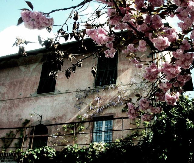 540655_308822082521170_462524583_n