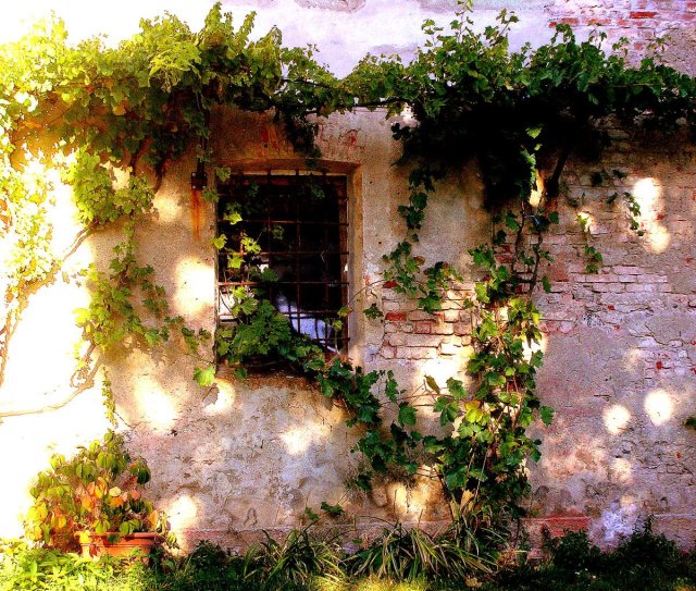 286772_186541064749273_6342712_o