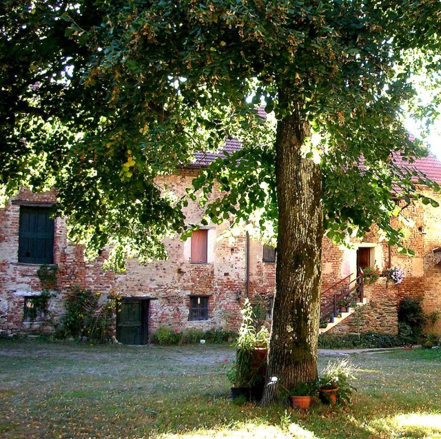 288887_186540331416013_2978107_o