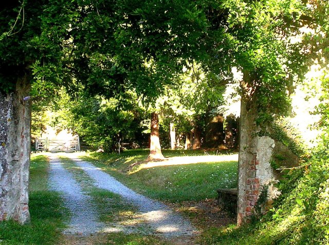 338365_186540988082614_1854977_o