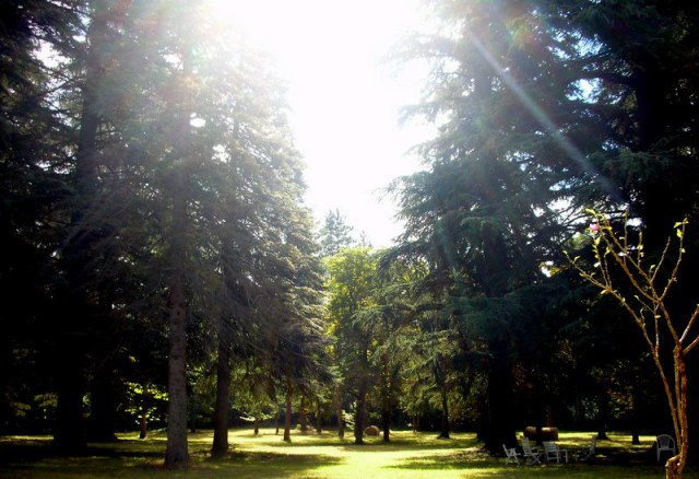 4888805878_02776e4792_b