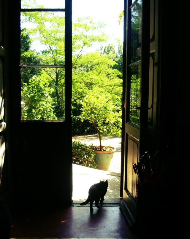 537742_343057042431007_691967511_n