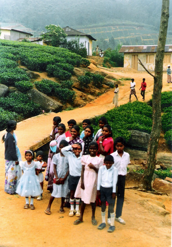 4148436358_8cde15276f_o