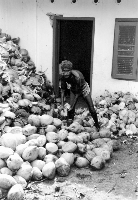 4272434218_3007f5646f_o