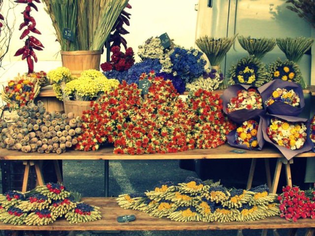 384683_245097805560265_139706676_n