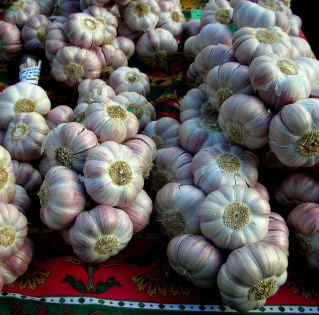 393337_245097762226936_1050644654_n