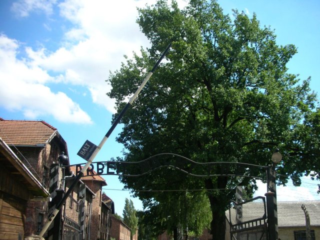 336464_182163351853711_4250203_o