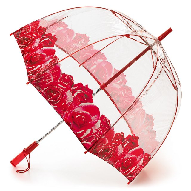 L727-Birdcage-Deluxe-Photo-Rose-Border-Open_zoom