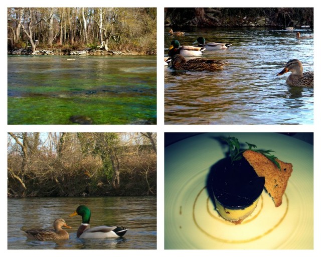 6673213451_aebf1f985b_b