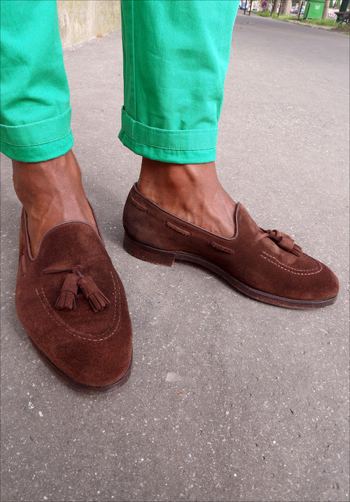 tumblr_m6t0g2xewZ1qbptbuo1_500