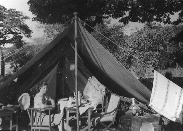 2643042862_99f54b01a1_o