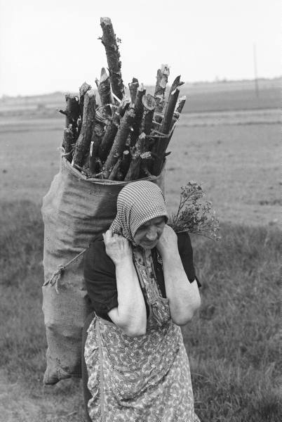 Old_Polish_woman_on_farm
