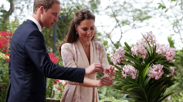 120911101657-william-catherine-orchid-horizontal-large-gallery