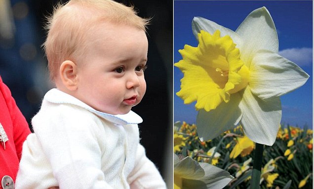 article-2617435-1D7CA11400000578-642_636x382